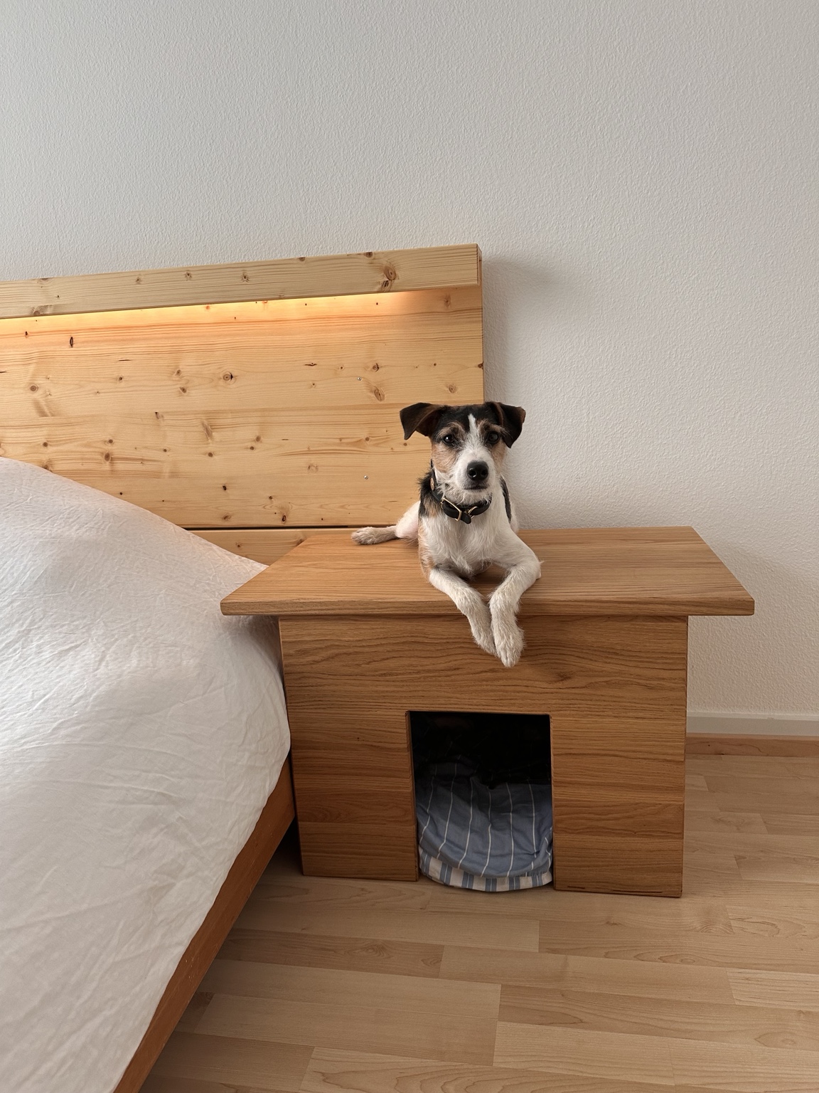 Holzmöbel mit integriertem Hundeplatz neben dem Bett